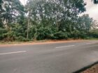 Commercial Land for Sale in Dambulla