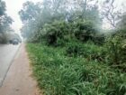 Commercial Land for Sale in Dambulla