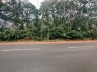 Commercial Land for Sale in Dambulla