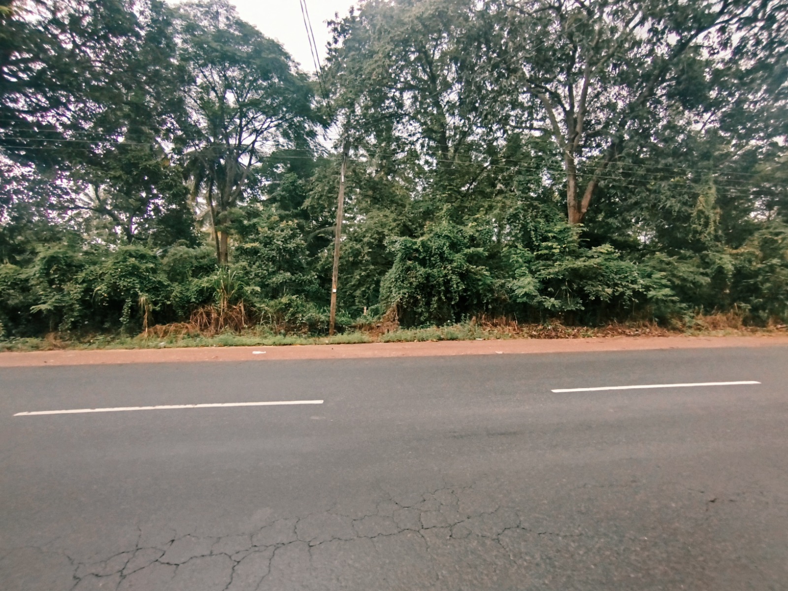 Commercial Land for Sale in Dambulla