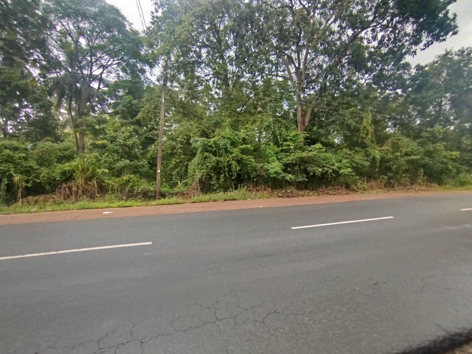 Commercial Land for Sale in Dambulla