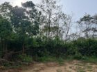 Sale – Prime Land for At Handapangoda