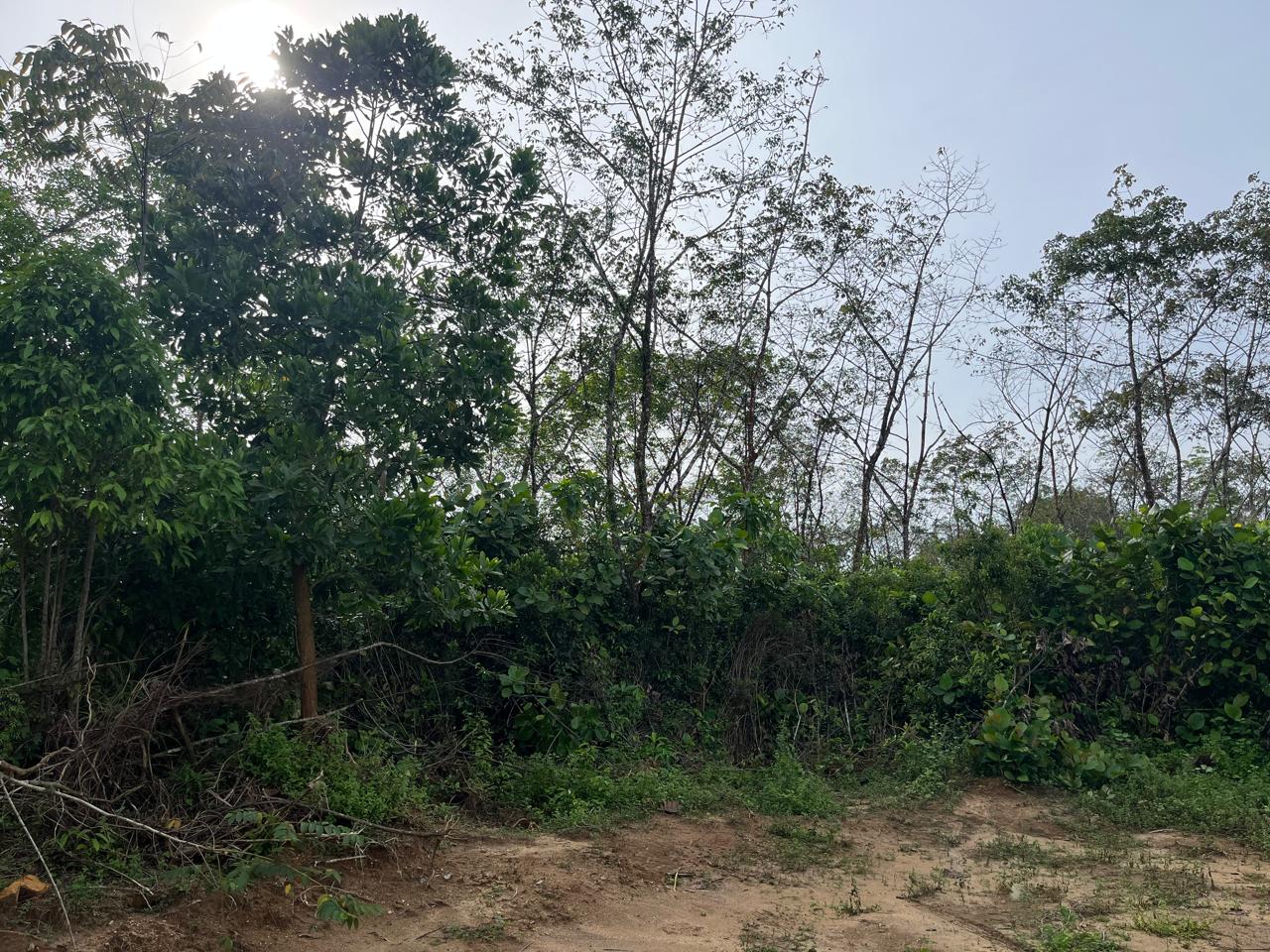 Sale – Prime Land for At Handapangoda