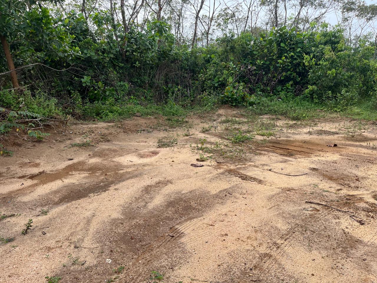 Sale – Prime Land for At Handapangoda