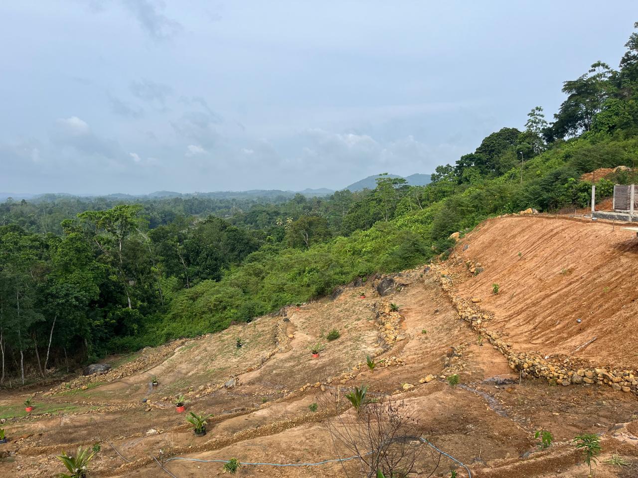 Sale – Prime Land for At Handapangoda