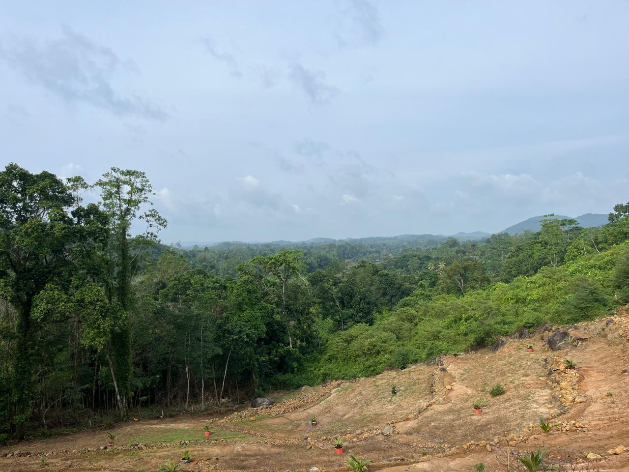 Sale – Prime Land for At Handapangoda