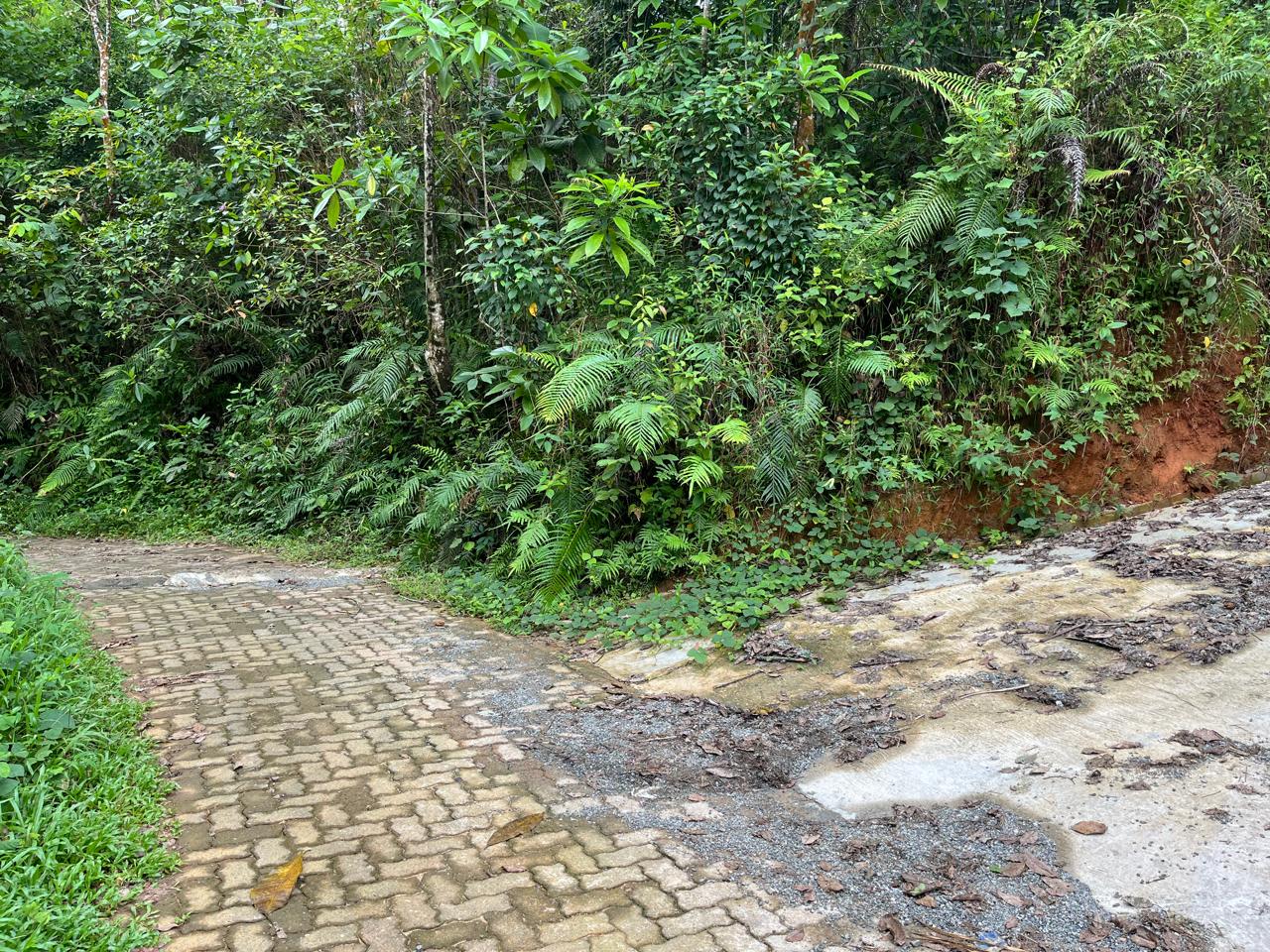 Sale – Prime Land for At Handapangoda