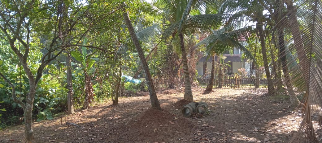 Land in Horana Labugama