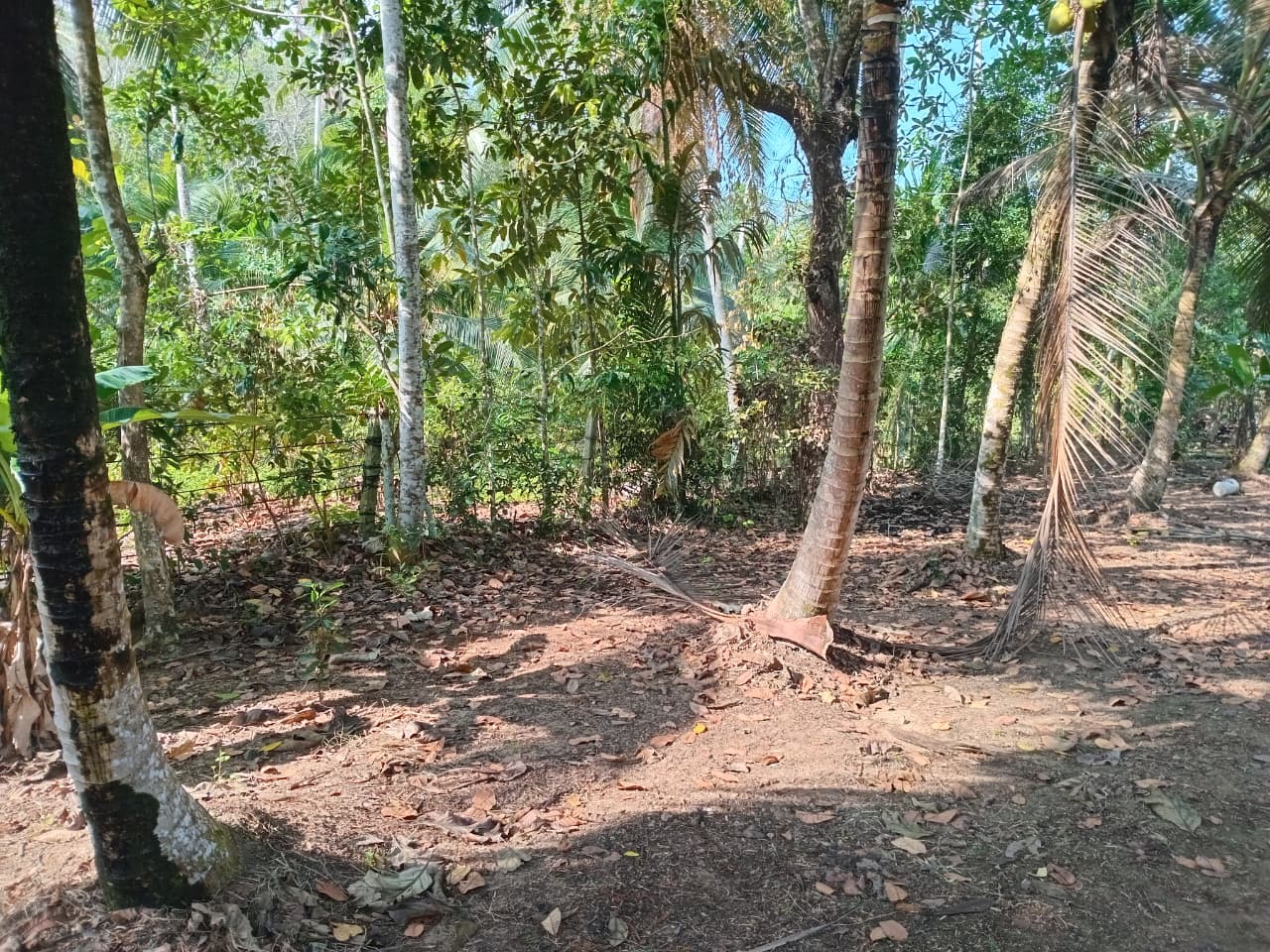 Land in Horana Labugama