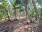 Land in Horana Labugama