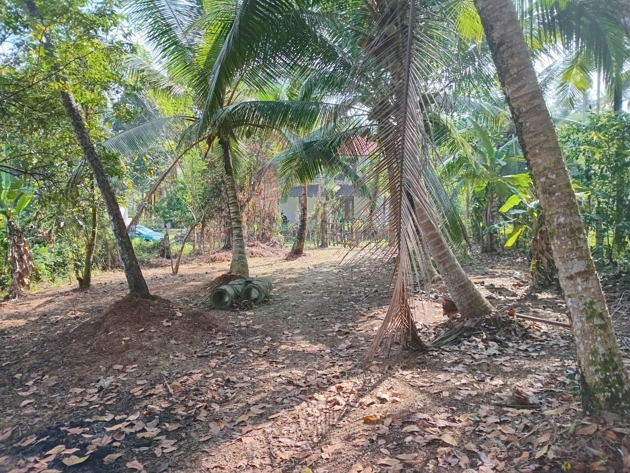 Land in Horana Labugama