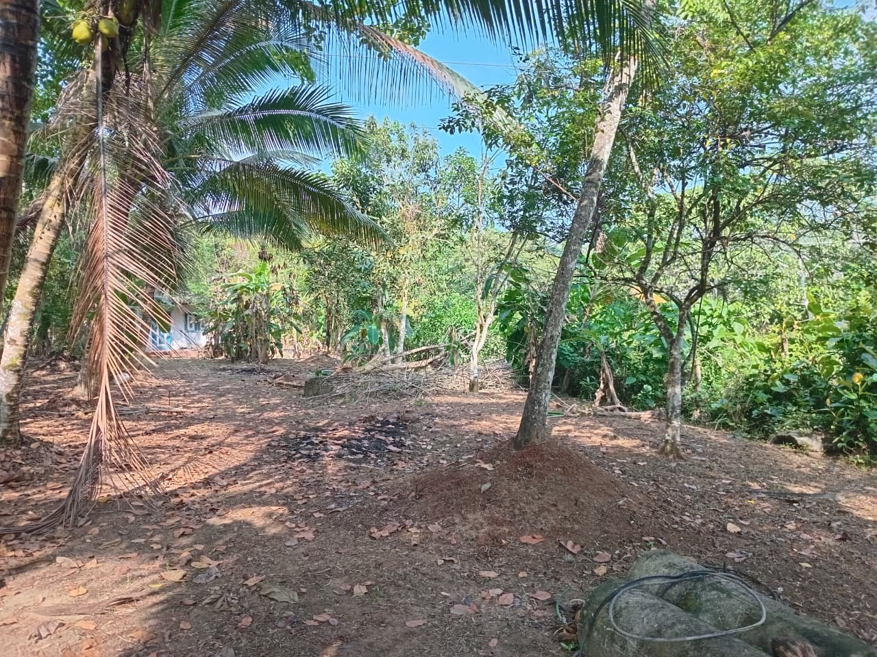 Land in Horana Labugama