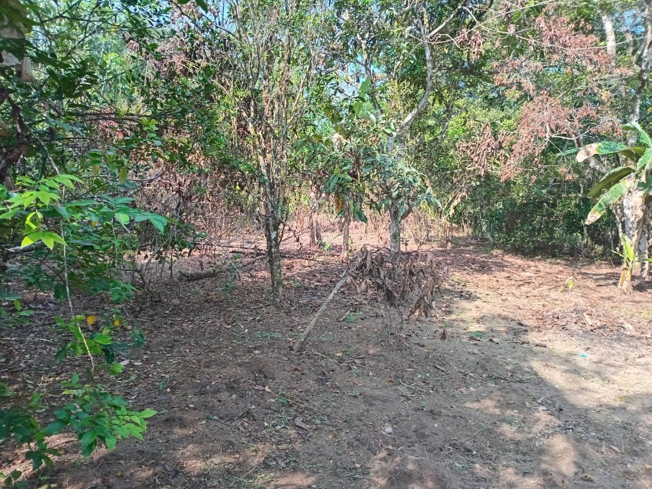 Land in Horana Labugama
