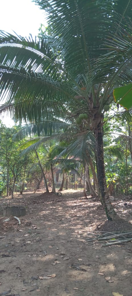 Land in Horana Labugama