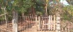 Land in Horana Labugama