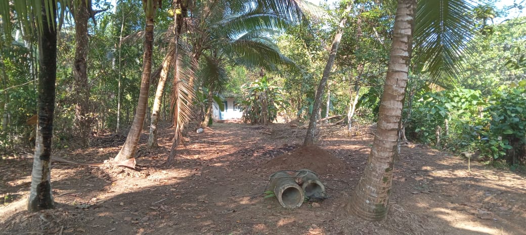 Land in Horana Labugama