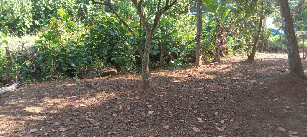 Land in Horana Labugama