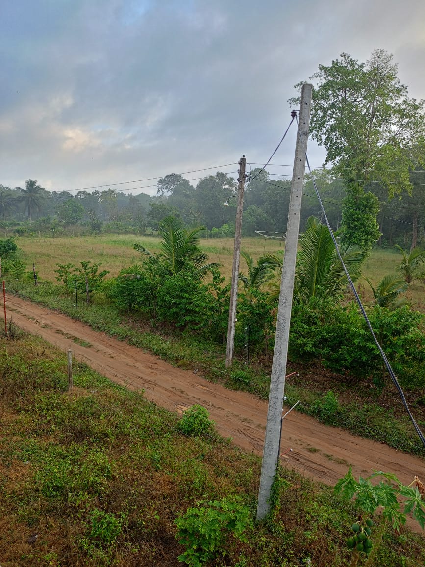 අබෝගම ගල්ගමුව ප්‍රධාන මාර්ගයට ආසන්න අක්කර 2ක වටිනා ඉඩම විකිණීමට