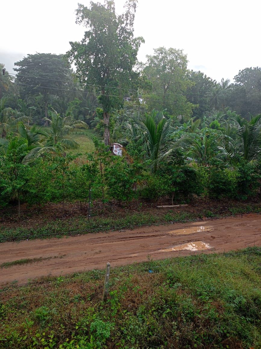 අබෝගම ගල්ගමුව ප්‍රධාන මාර්ගයට ආසන්න අක්කර 2ක වටිනා ඉඩම විකිණීමට