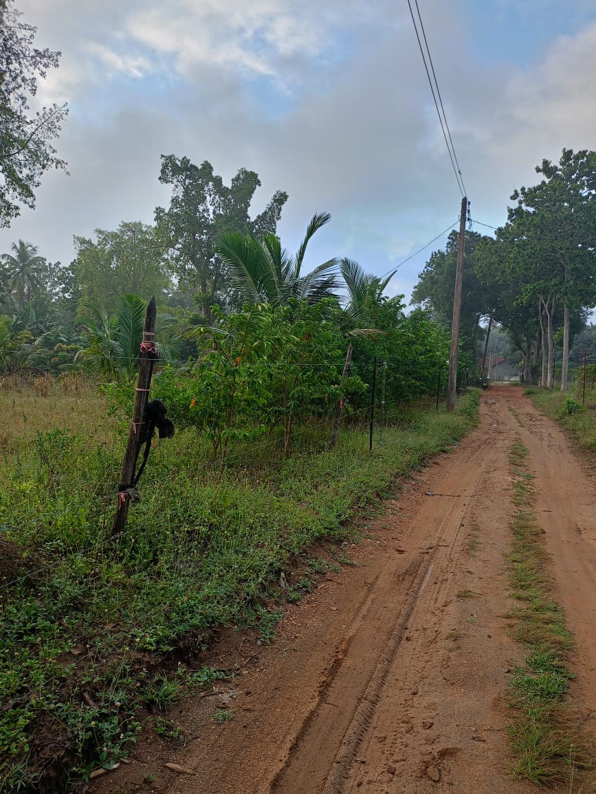 අබෝගම ගල්ගමුව ප්‍රධාන මාර්ගයට ආසන්න අක්කර 2ක වටිනා ඉඩම විකිණීමට