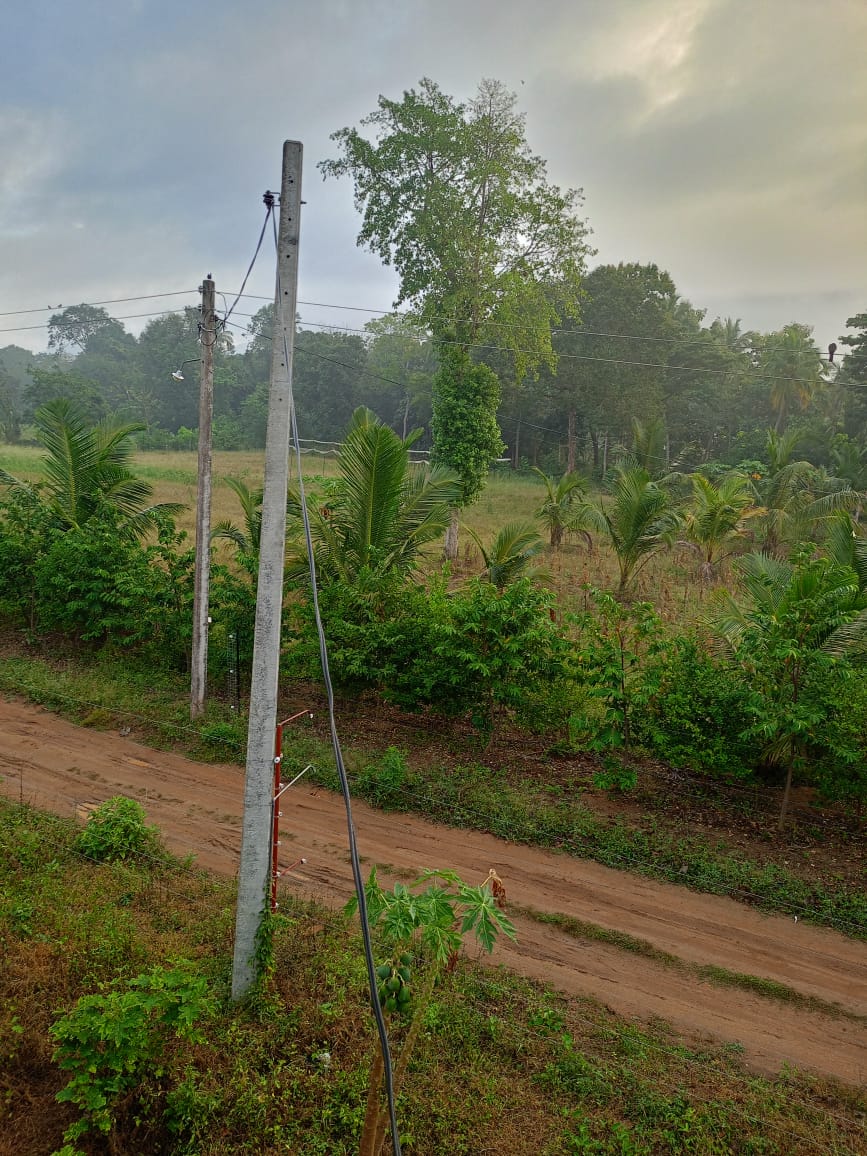 අබෝගම ගල්ගමුව ප්‍රධාන මාර්ගයට ආසන්න අක්කර 2ක වටිනා ඉඩම විකිණීමට