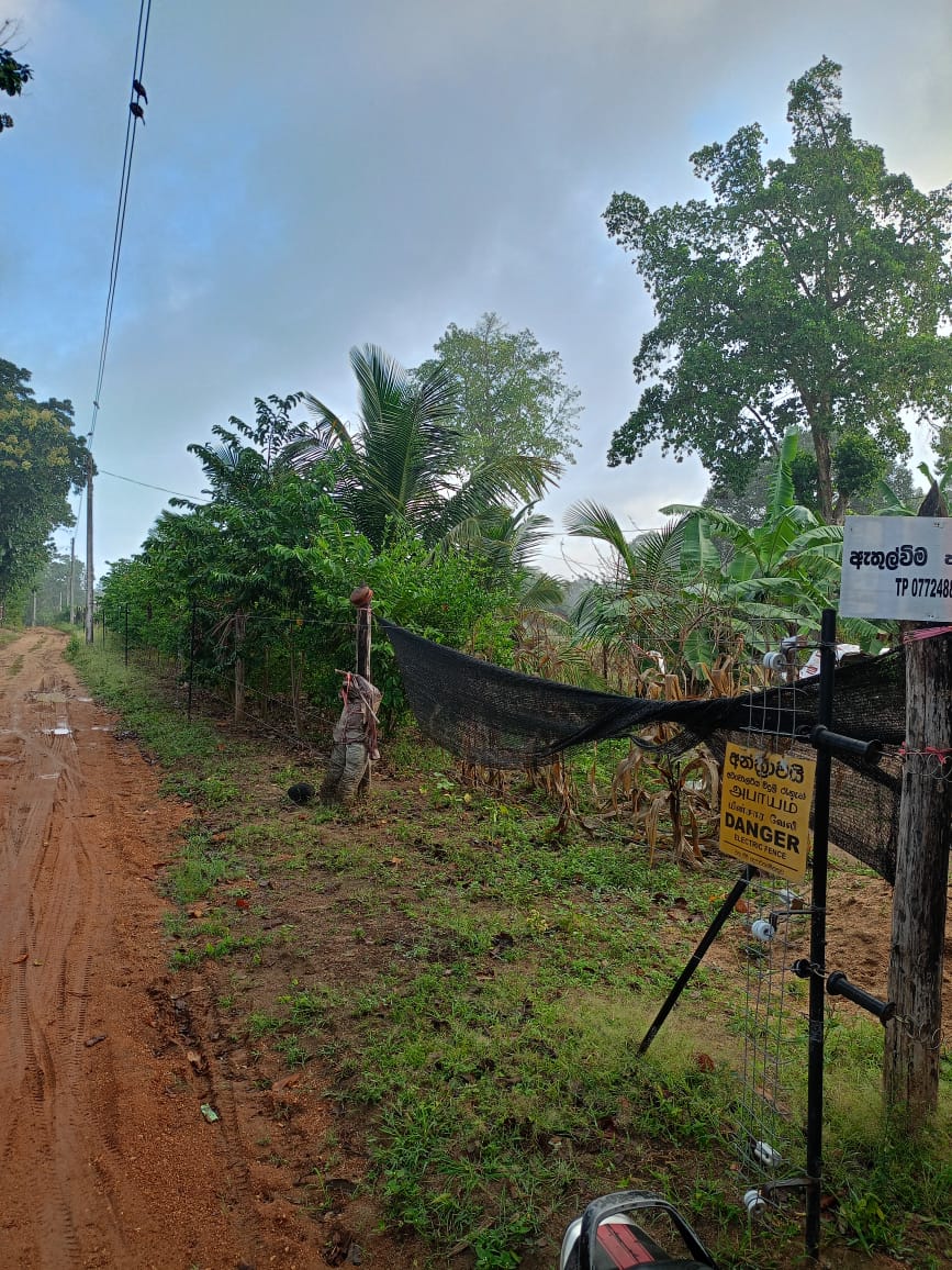 අබෝගම ගල්ගමුව ප්‍රධාන මාර්ගයට ආසන්න අක්කර 2ක වටිනා ඉඩම විකිණීමට