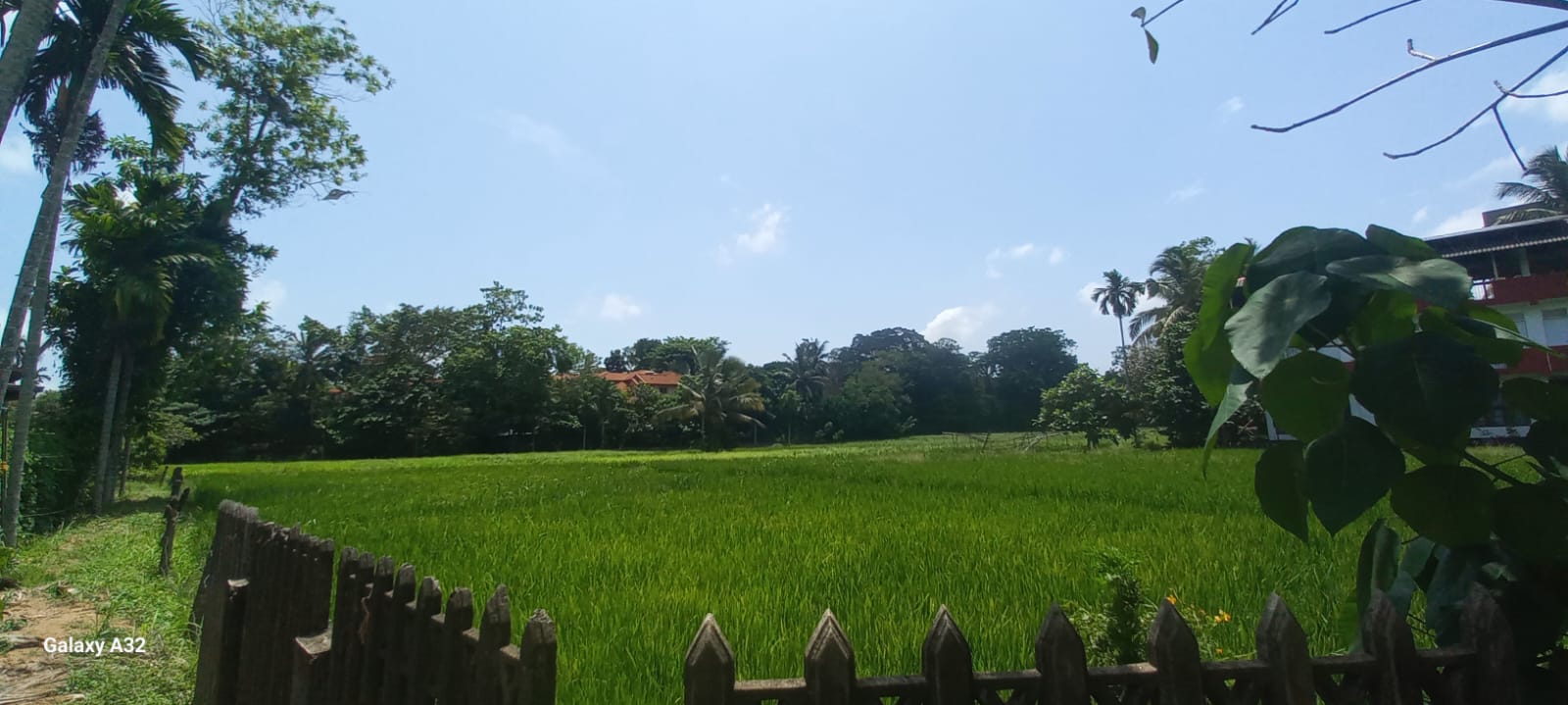 Land for Sale Thalawathugoda