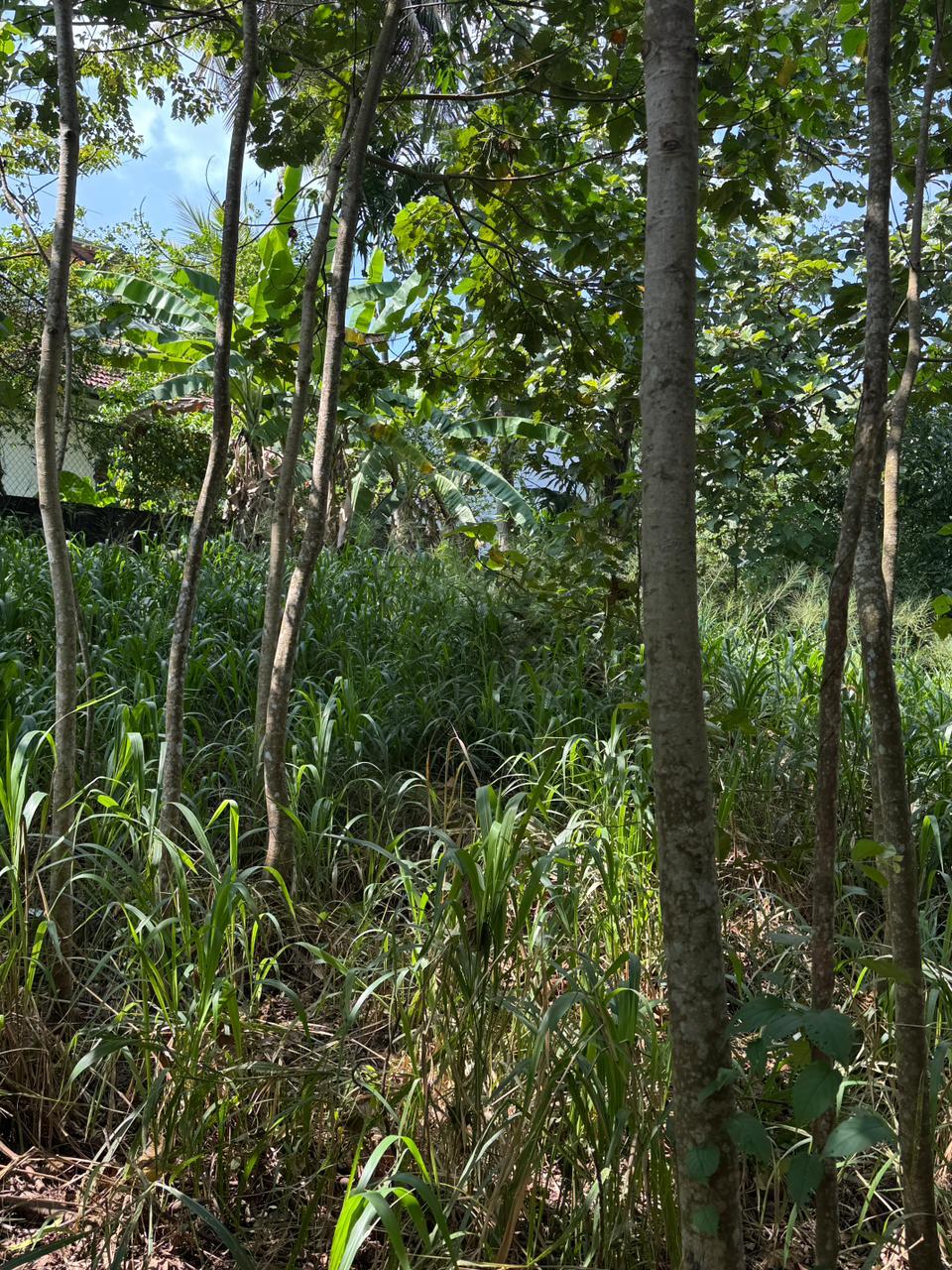 Premium Land with Best Scenic View for Sale – Malabe