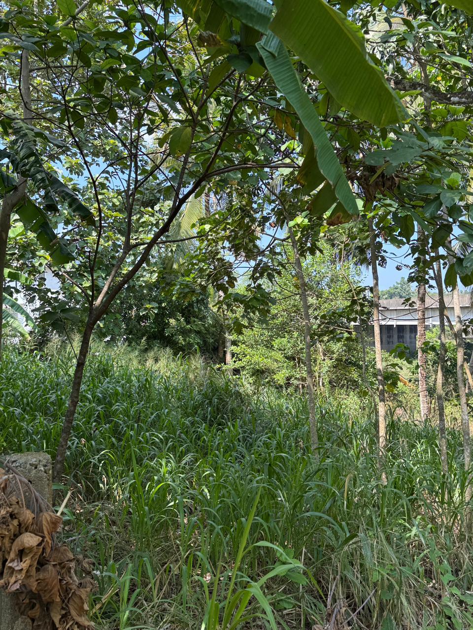 Premium Land with Best Scenic View for Sale – Malabe