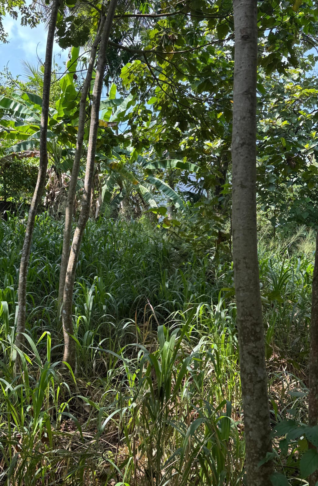 Premium Land with Best Scenic View for Sale – Malabe