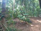 Land with House For Sale In Ragama