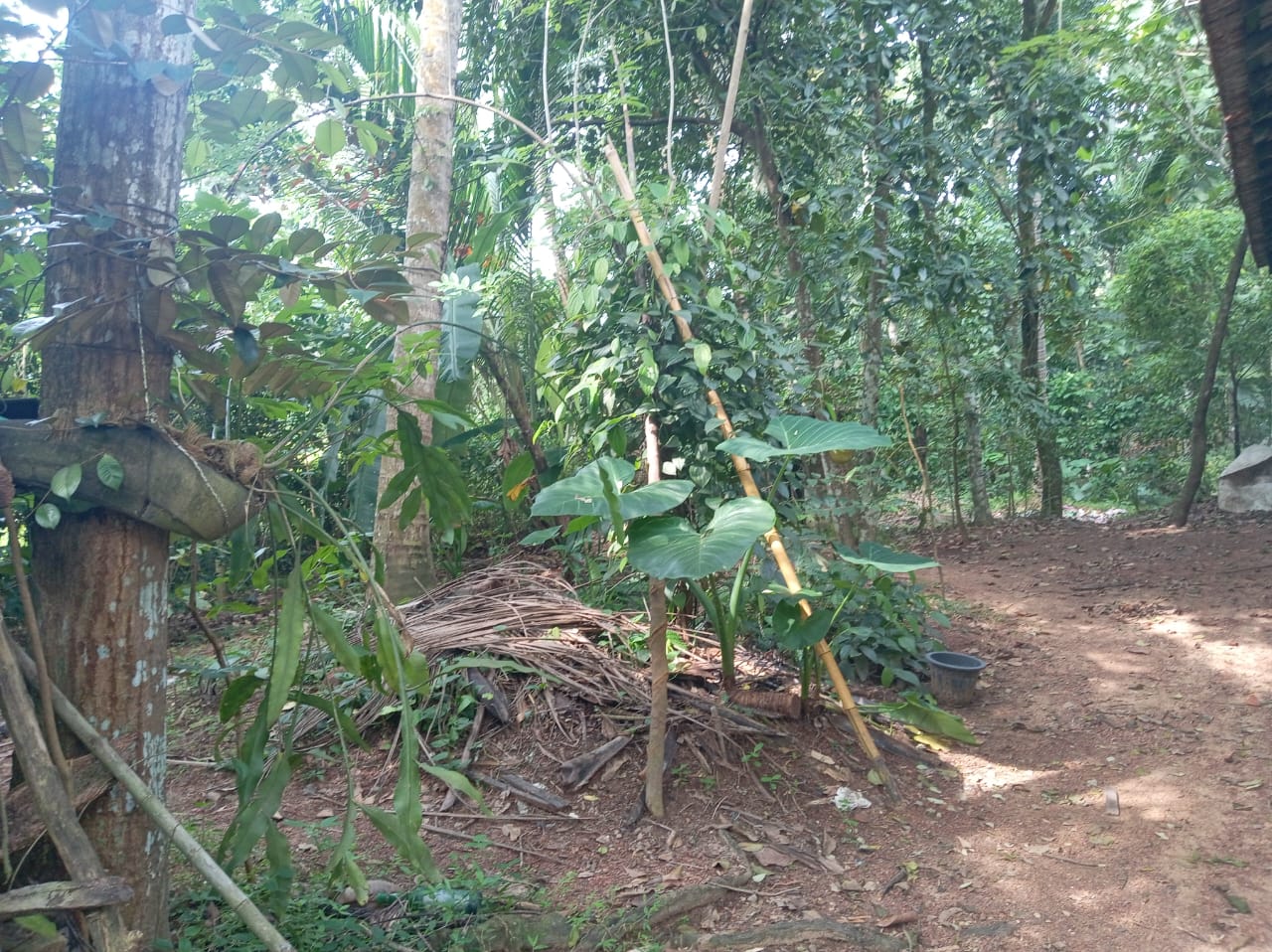 Land with House For Sale In Ragama