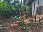 Land with House For Sale In Ragama