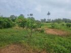 Land for sale in Dematagahapalassa – Kurunegala