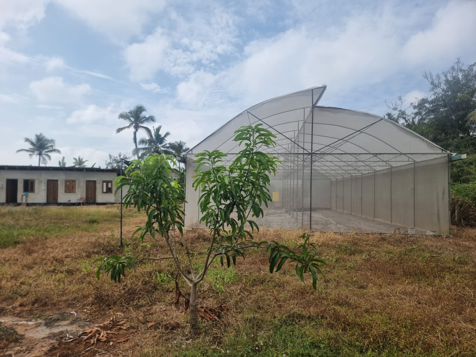 Land for sale in Dematagahapalassa – Kurunegala