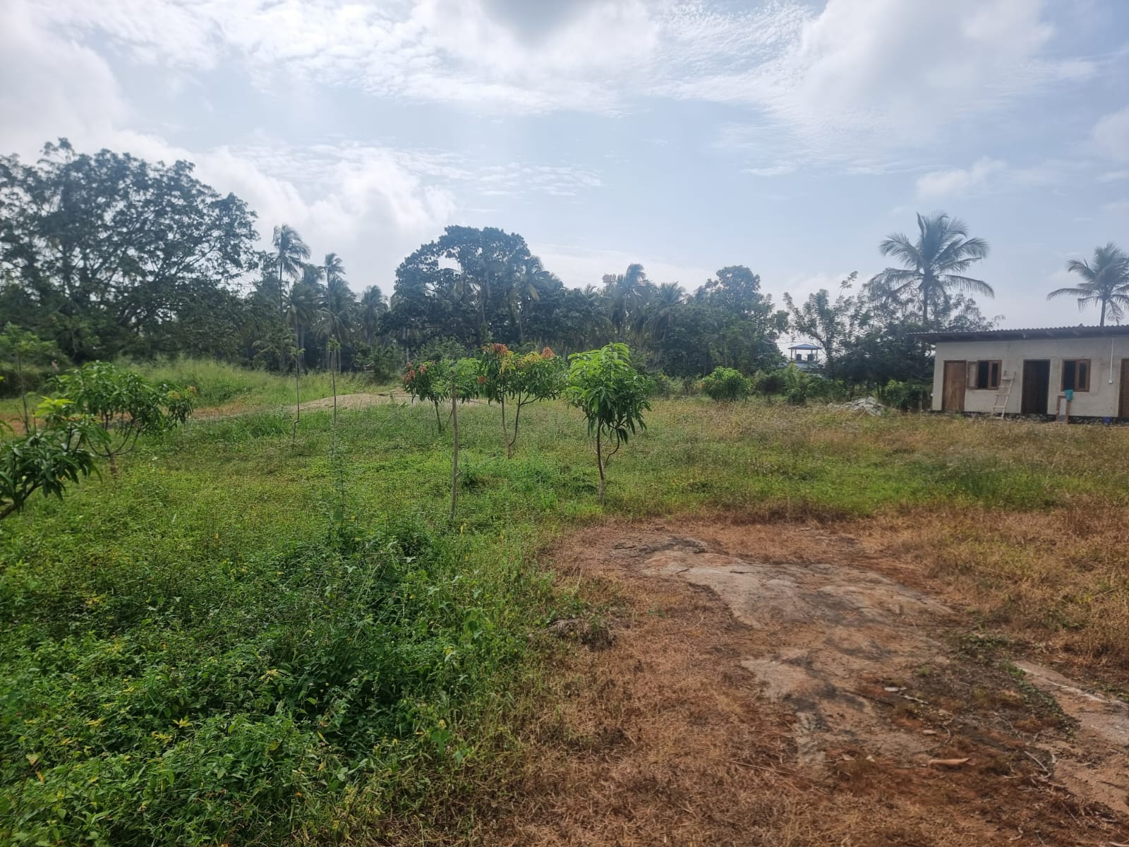Land for sale in Dematagahapalassa – Kurunegala