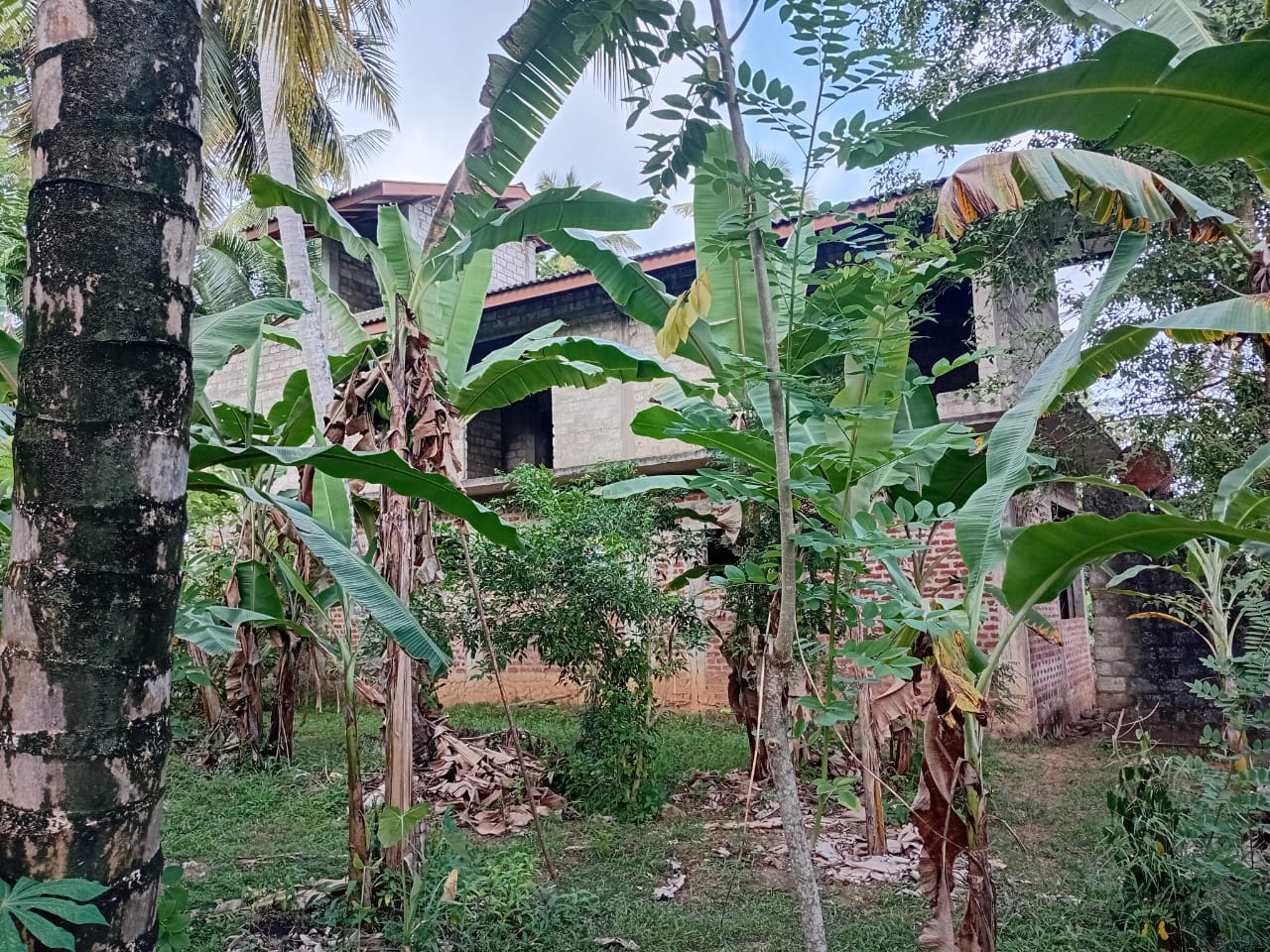 Land For Sale In Kalutara