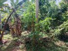 Land For Sale In Kalutara