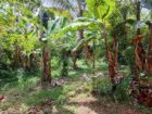 Land For Sale In Kalutara