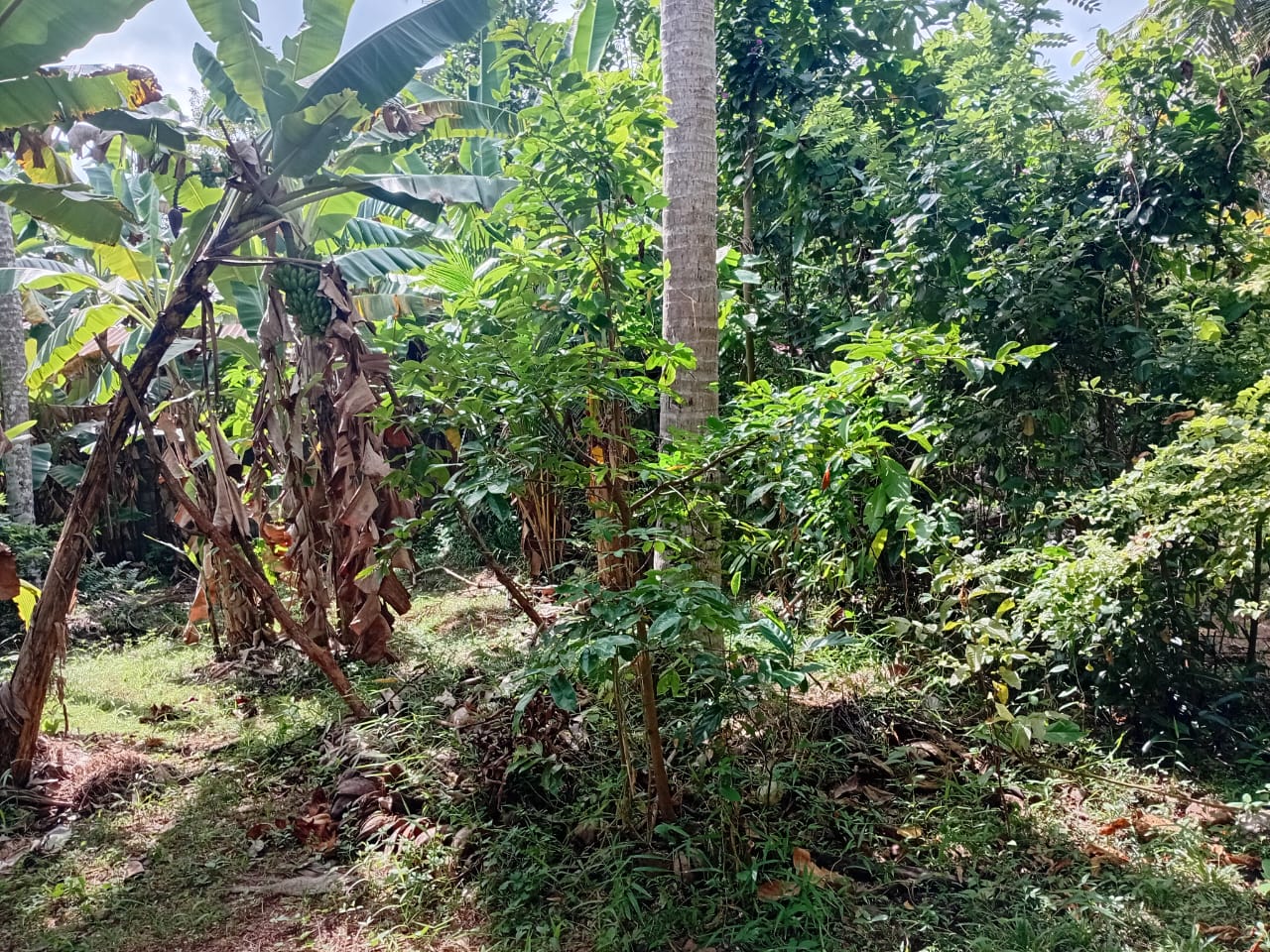 Land For Sale In Kalutara