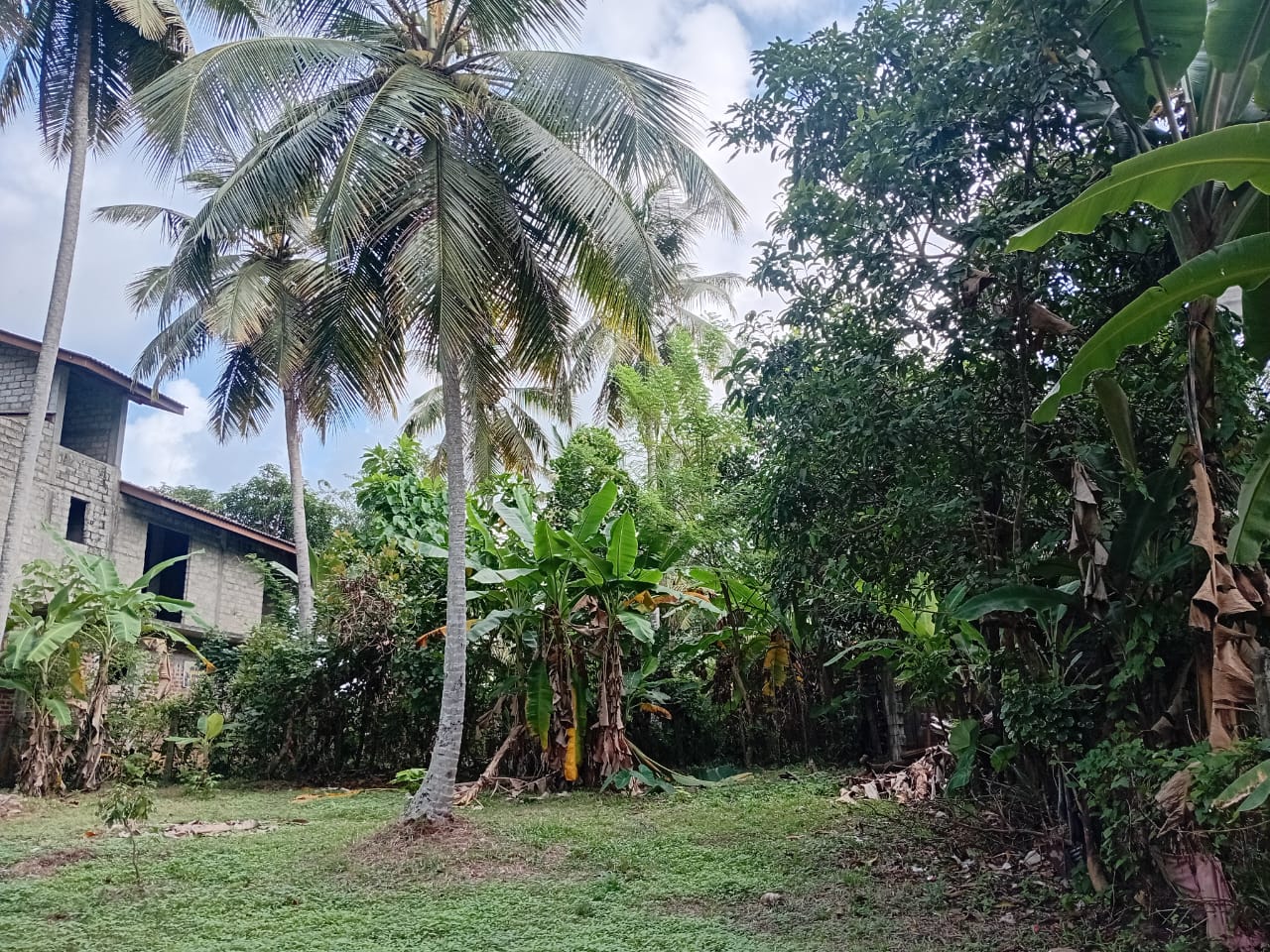 Land For Sale In Kalutara