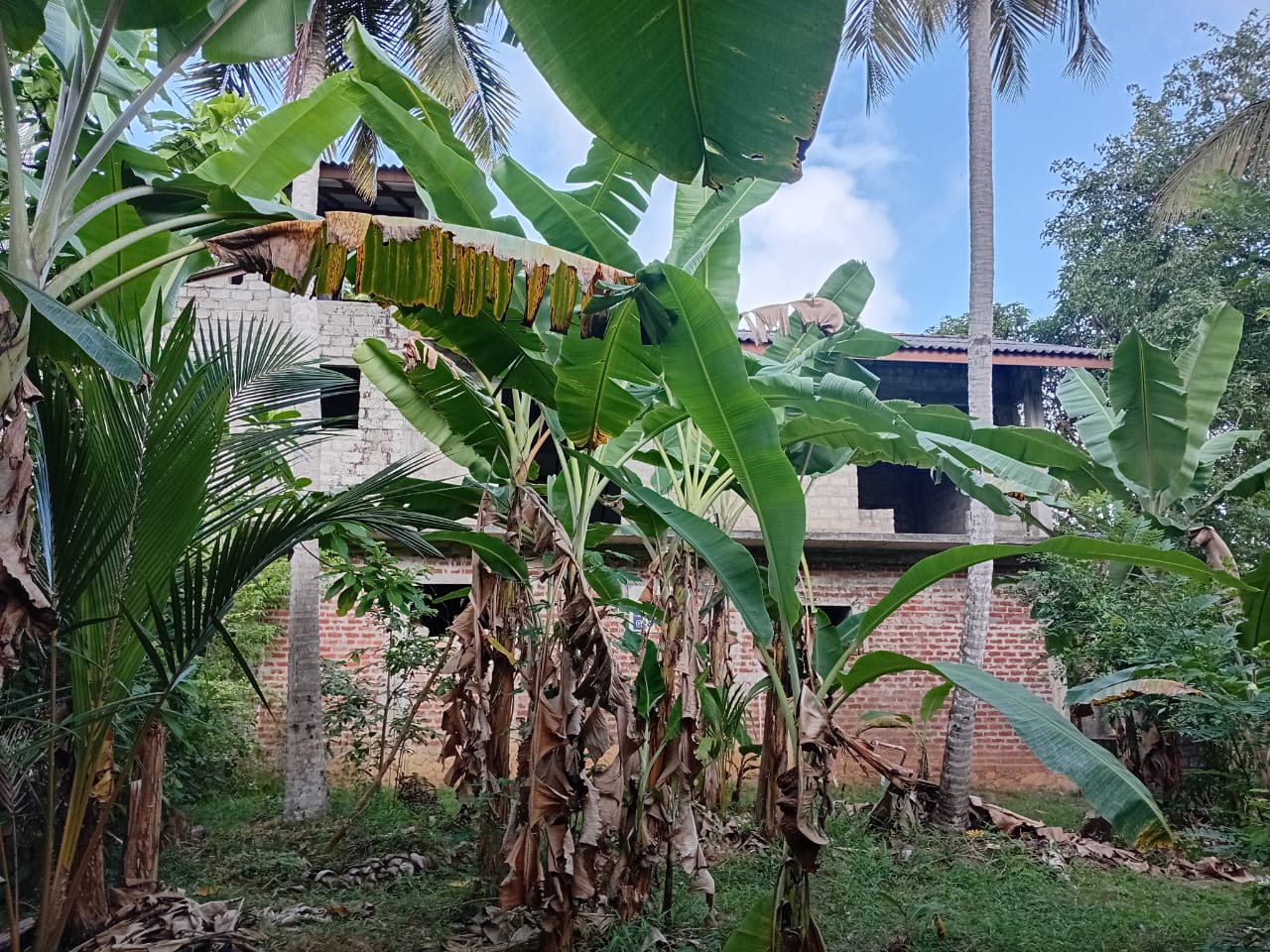 Land For Sale In Kalutara