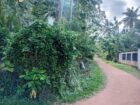 Land For Sale In Kalutara
