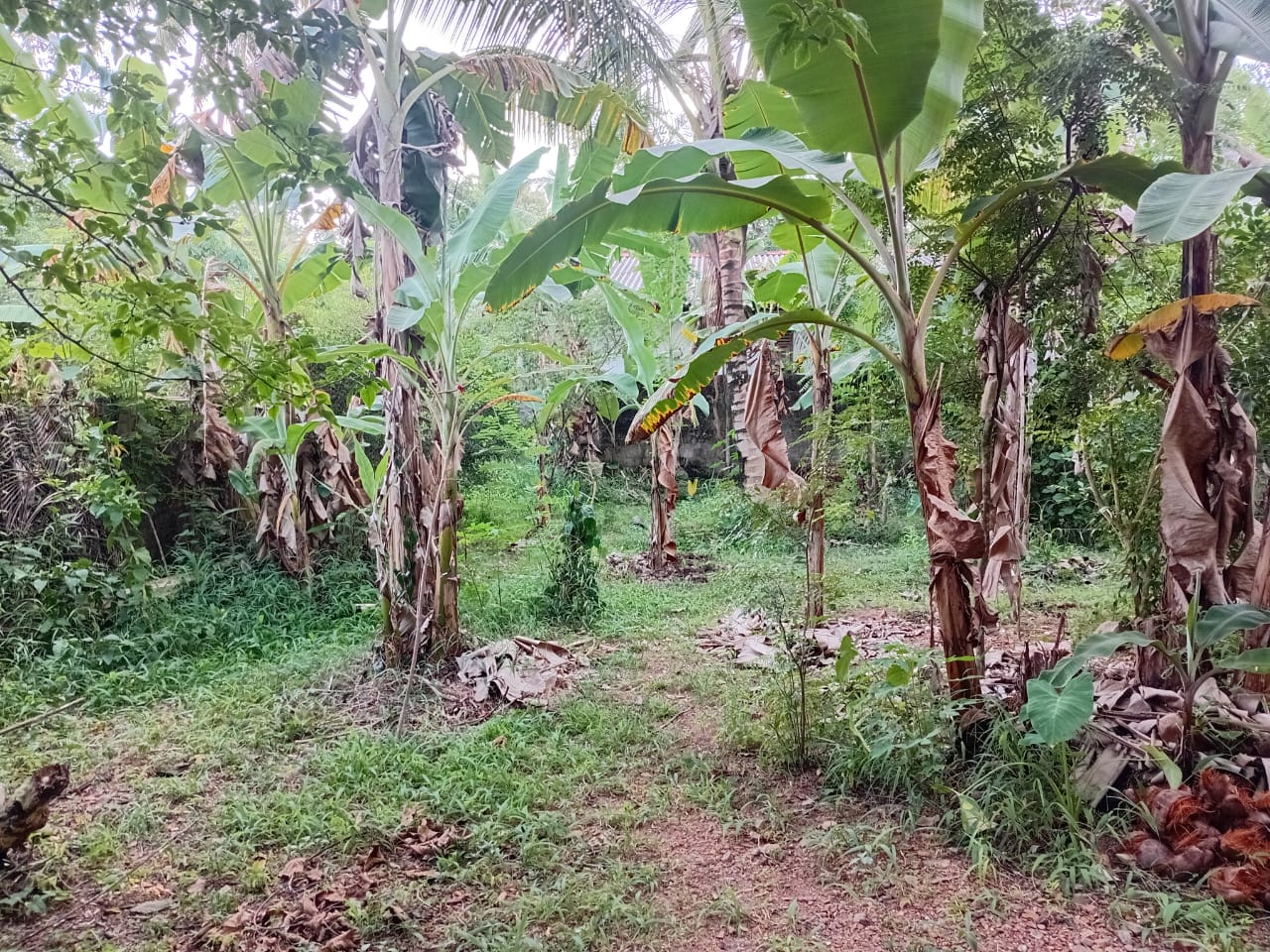 Land For Sale In Kalutara