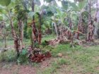 Land For Sale In Kalutara