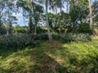 House with Big Land for Sale in Madampella, Negombo