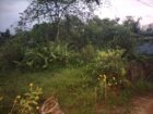 Land For Sale In Kuruwita