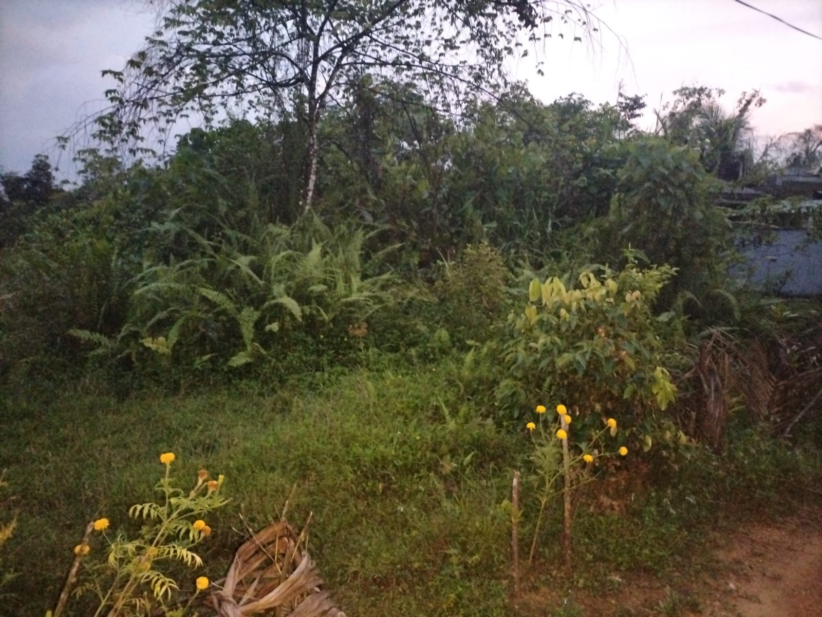 Land For Sale In Kuruwita