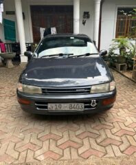 WhatsApp-Image-2026-02-27-at-19.48.06