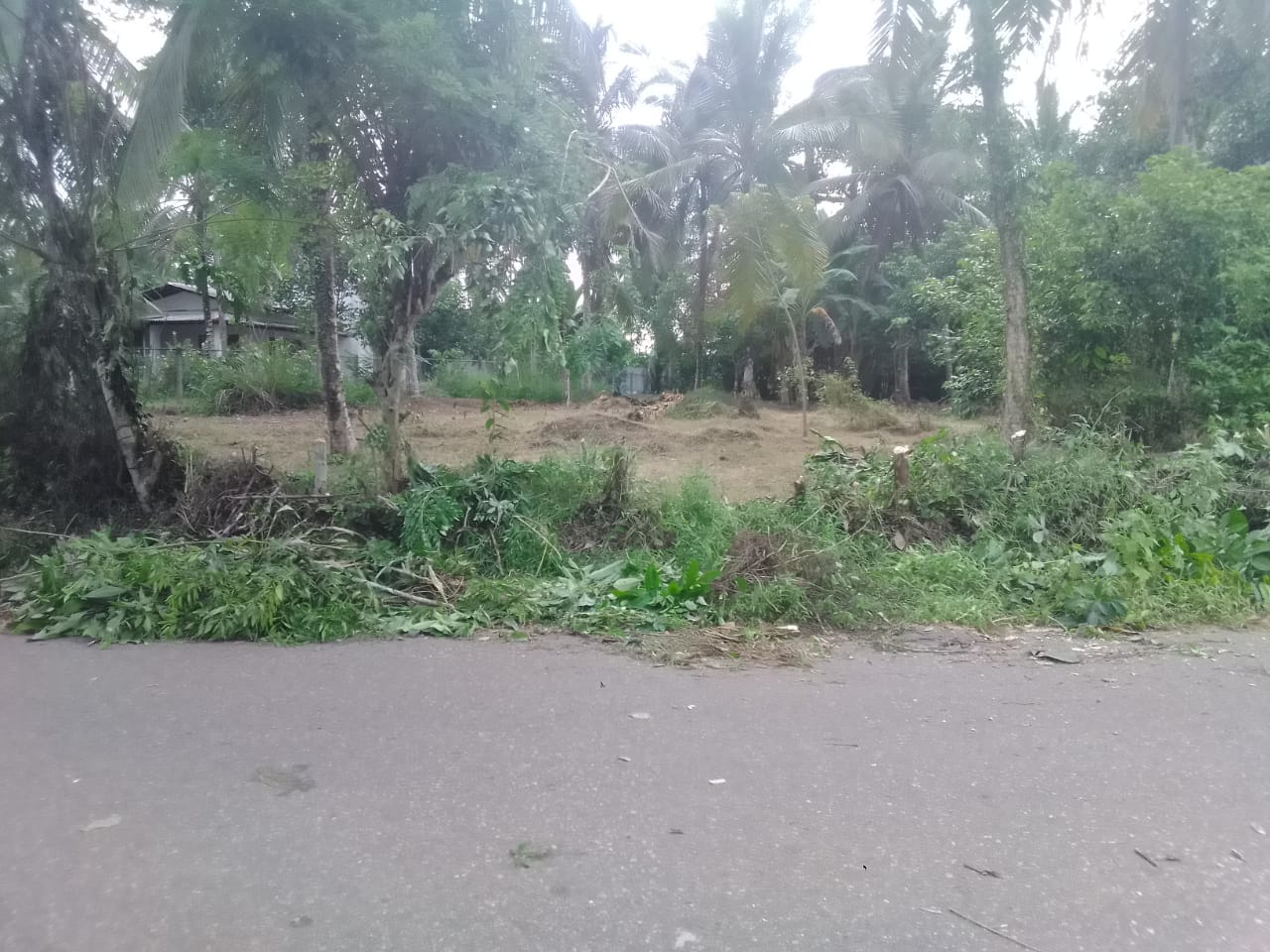 Land for sale in Gampaha